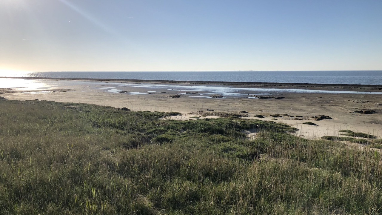 Photo of Others in Neuharlingersiel