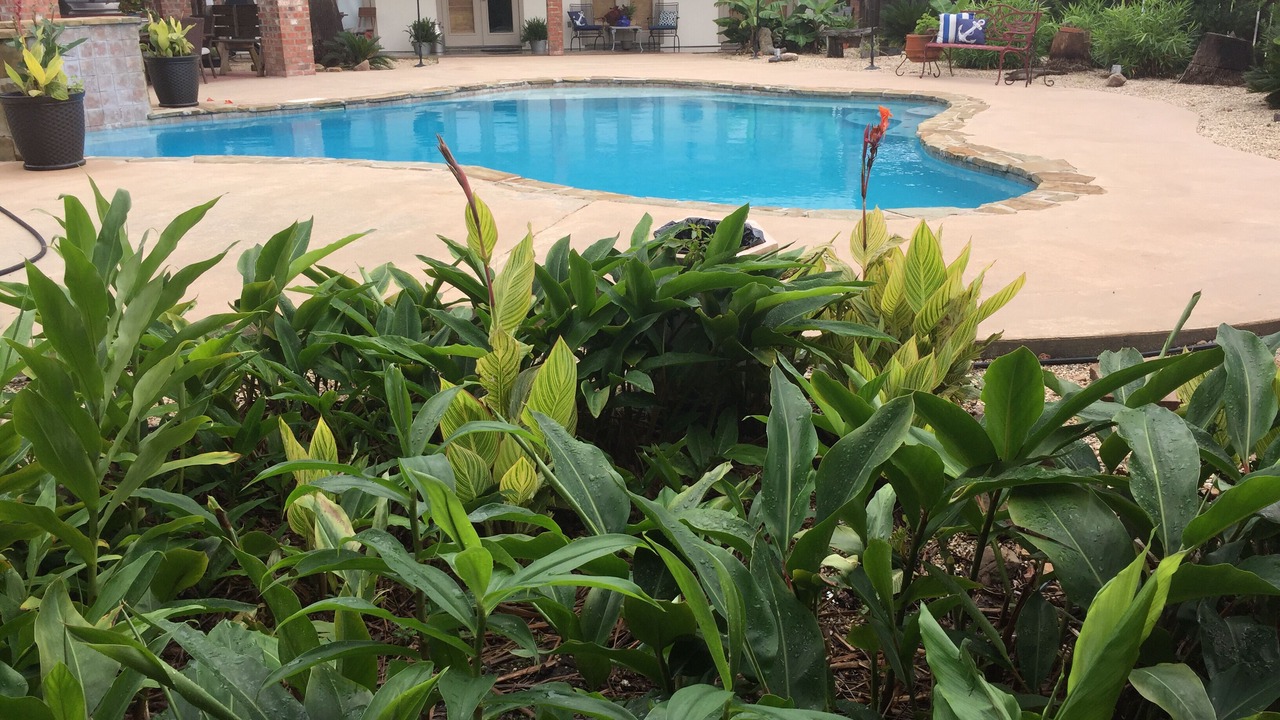 Photo of Outdoor in Milton