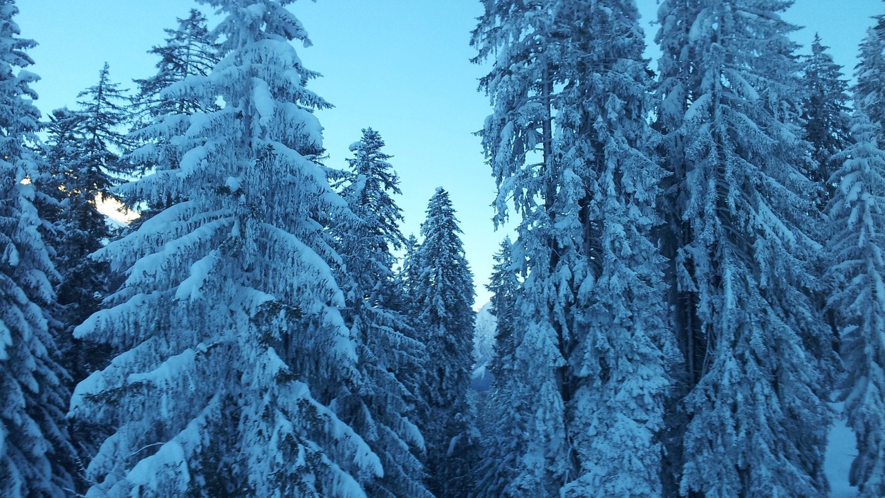 Photo of Outdoor in Klosters Dorf
