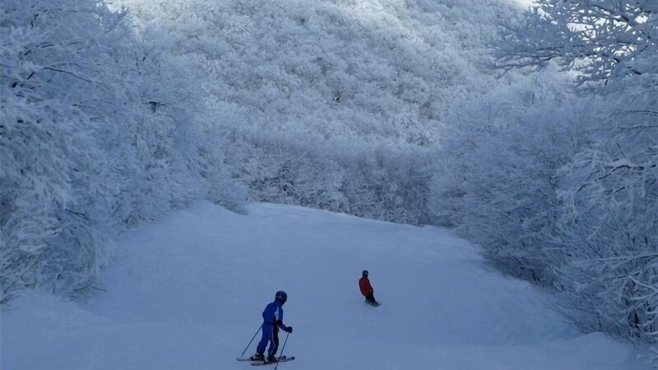 Photo of Others in Bromley Mountain
