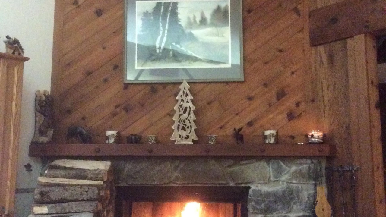 Photo of Livingroom in Bromley Mountain