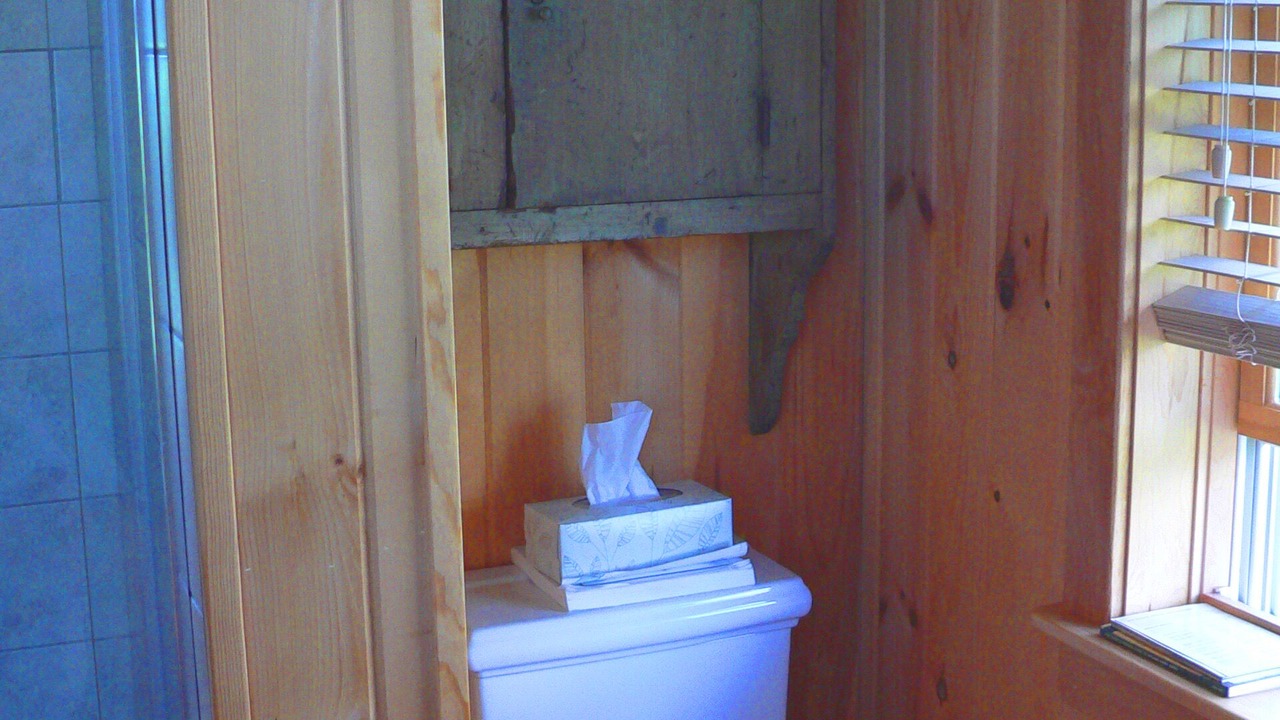 Photo of Bathroom in Halifax County