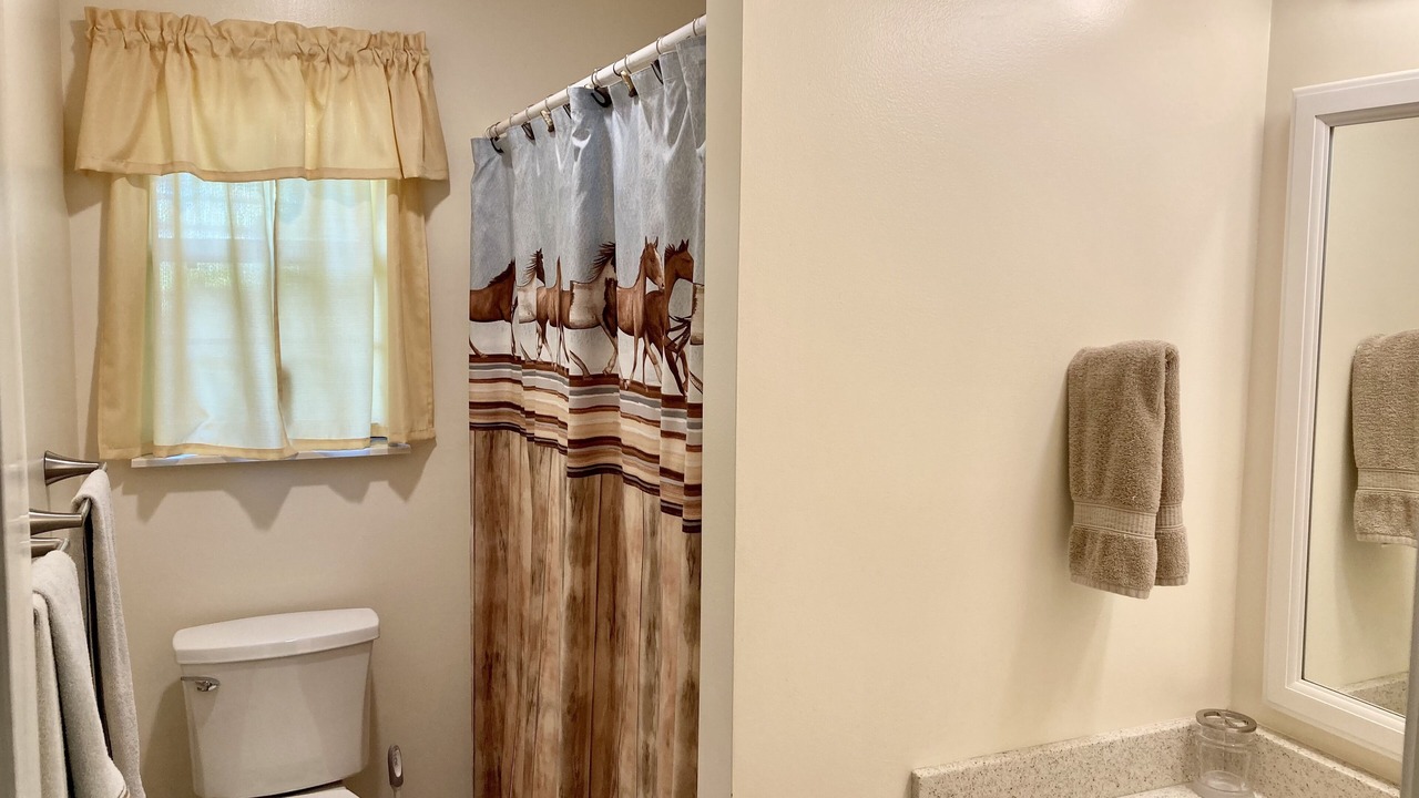 Photo of Bathroom in Townsend