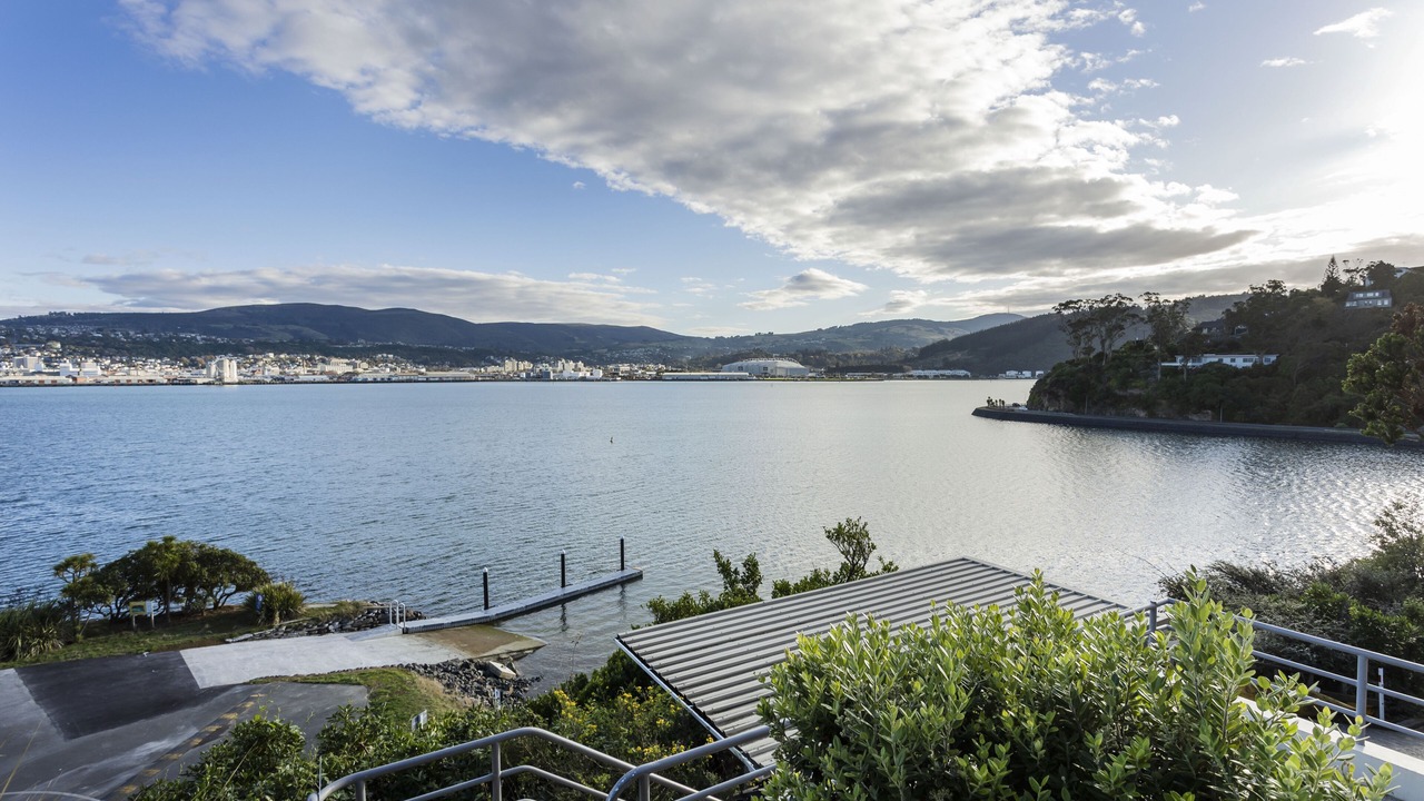 Photo of Others in Dunedin