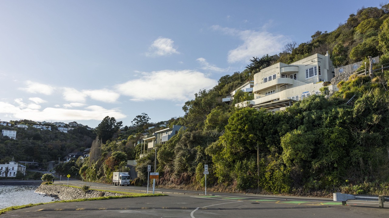 Photo of Outdoor in Dunedin