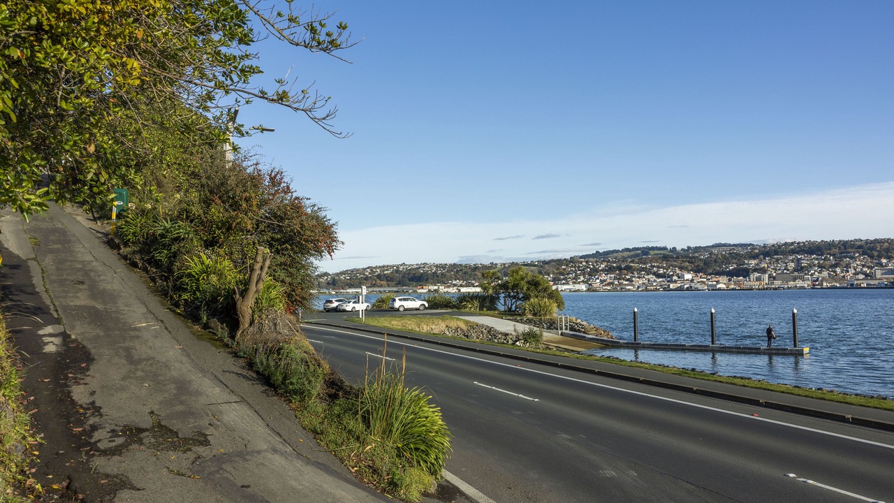 Photo of Others in Dunedin