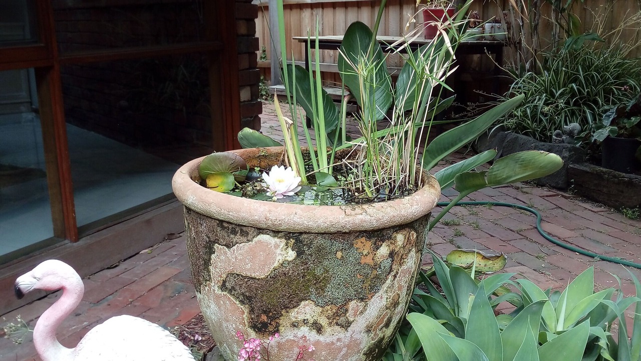 Photo of Outdoor in Williamstown