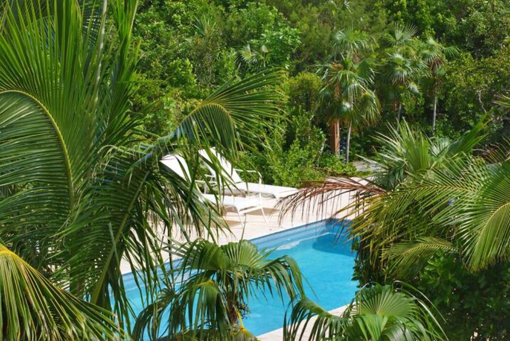 Photo of Outdoor in Long Bay