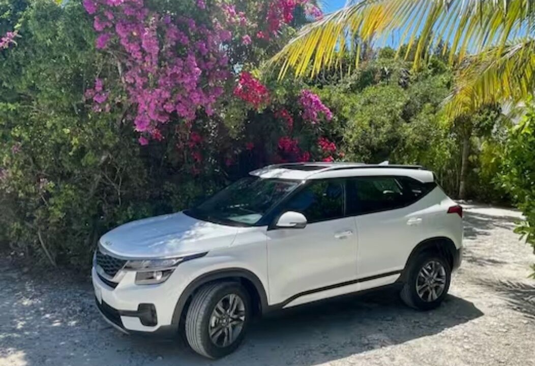 Photo of Outdoor in Long Bay