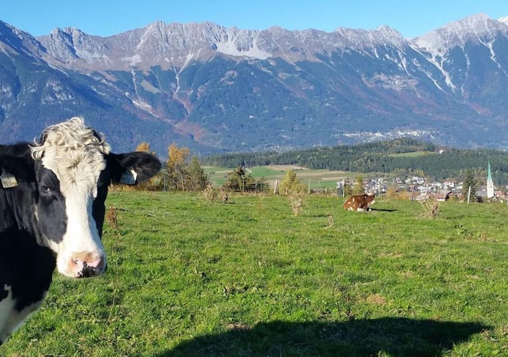 Photo of Others in Raitis