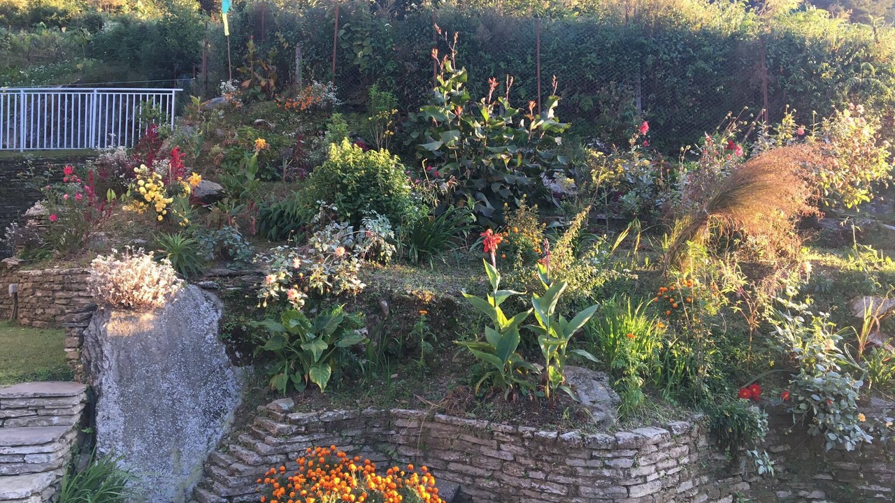 Photo of Outdoor in Lumle
