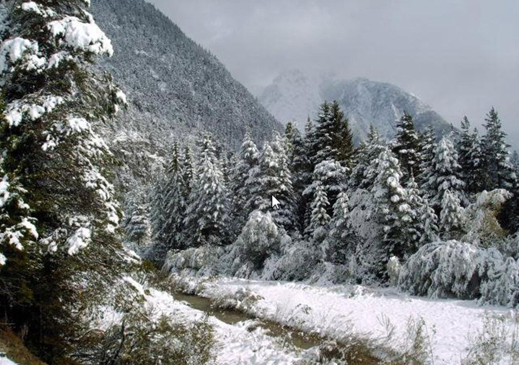 Photo of Others in Scharnitz