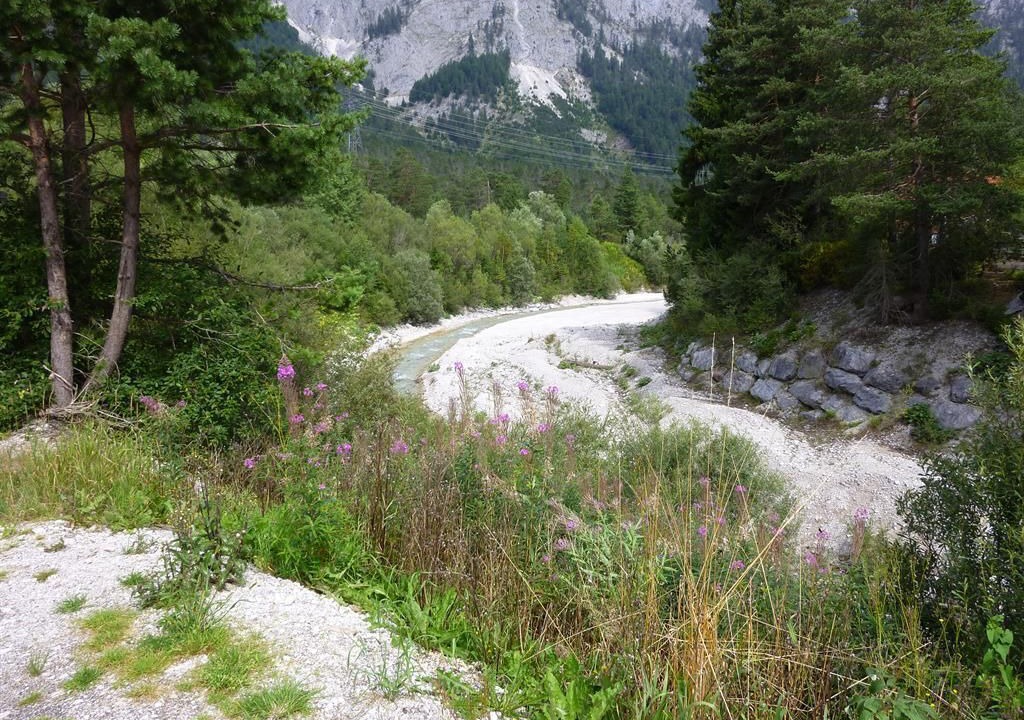 Photo of Others in Scharnitz