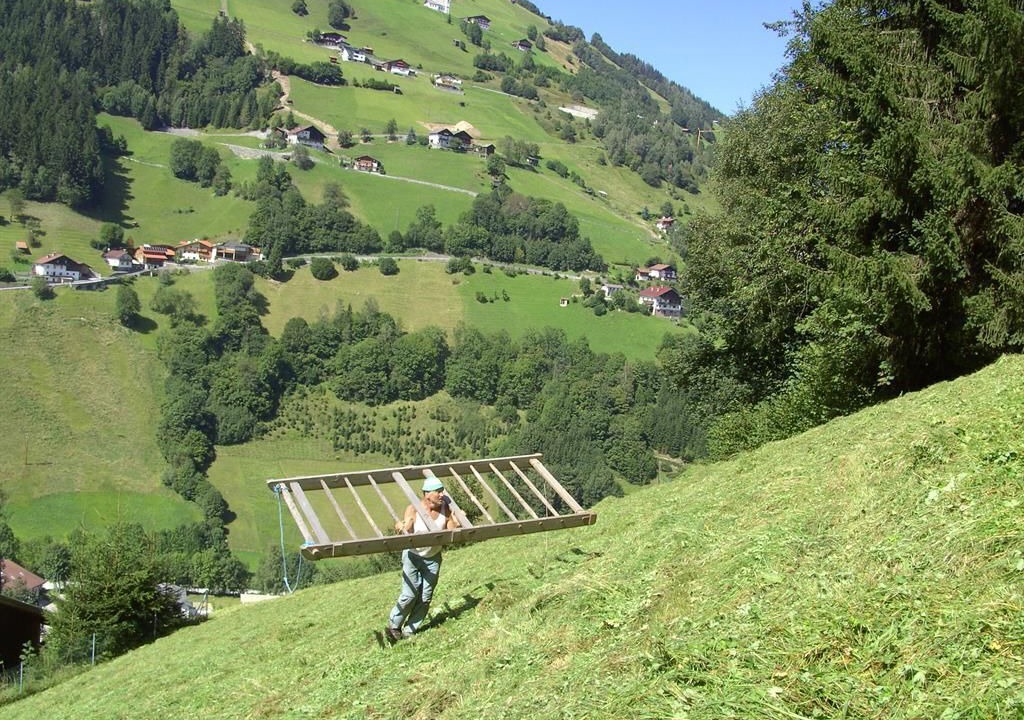 Photo of Others in Sellrain