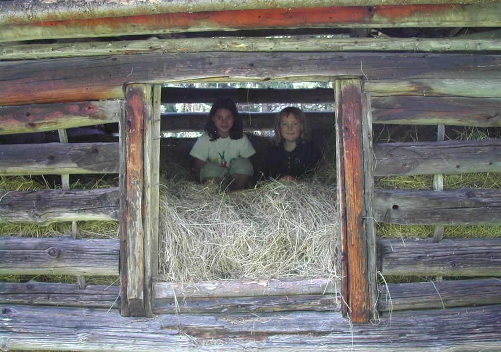 Photo of Others in Sellrain