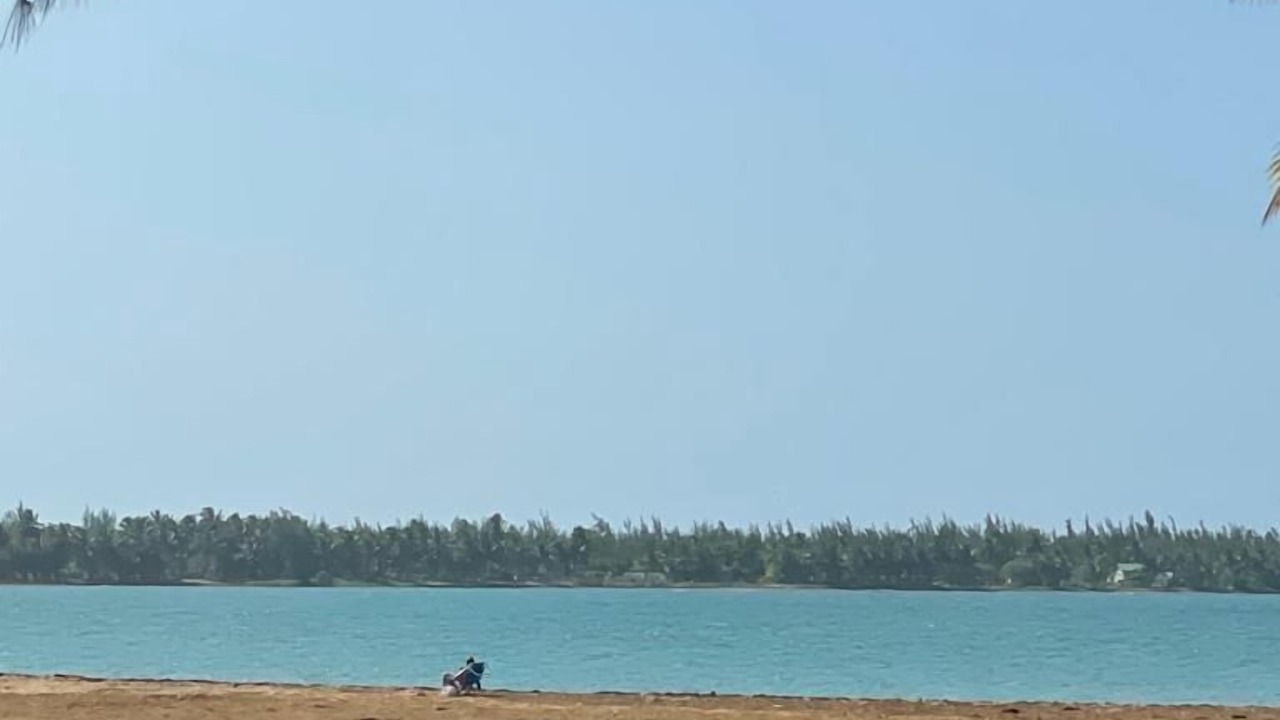 Photo of Others in Zarzal
