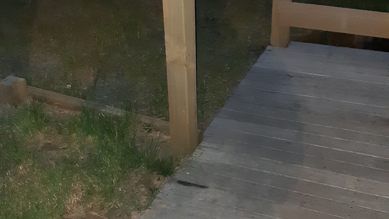 Photo of Others in Waitarere Beach