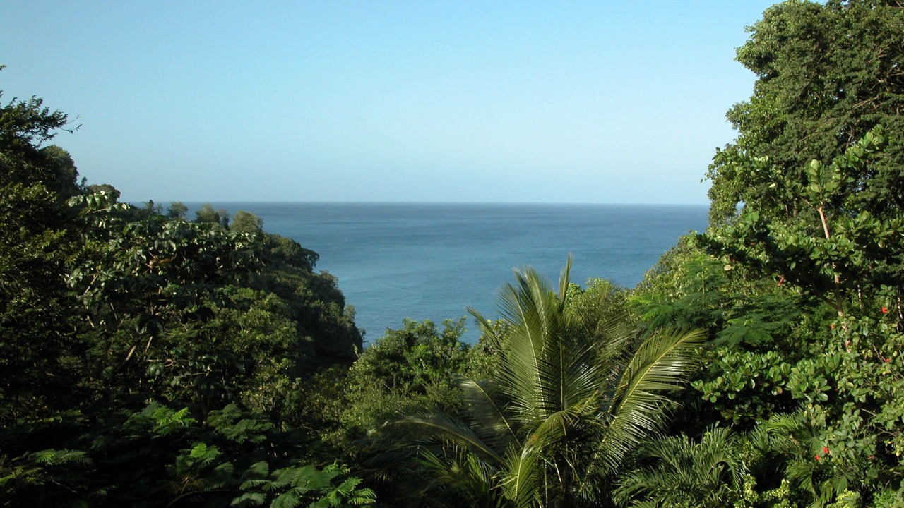 Photo of Others in Marigot Bay