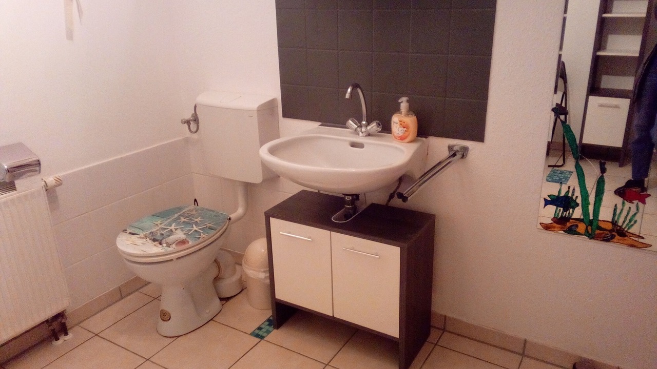 Photo of Bathroom in Gemarkung Horschwag