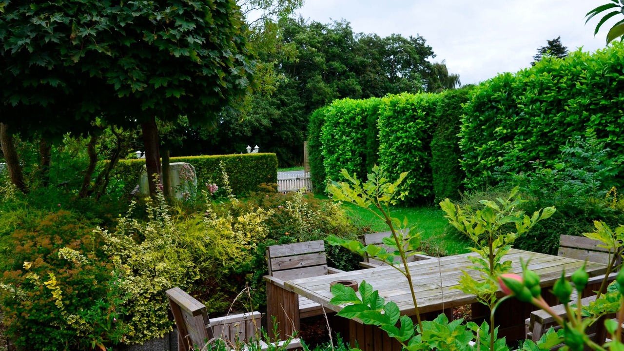 Photo of Outdoor in Wangerland