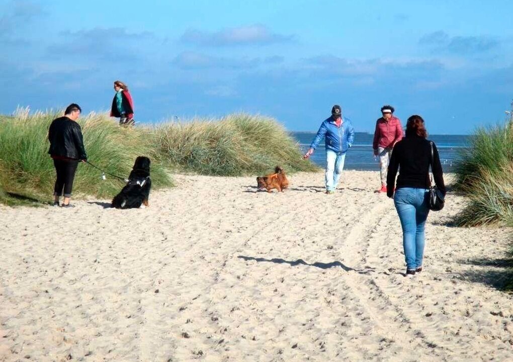 Photo of Others in Wangerland
