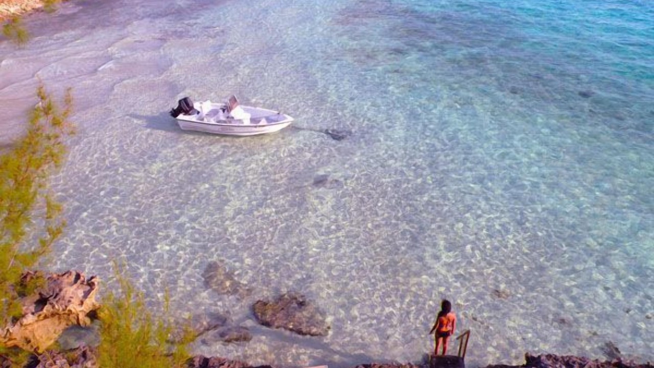 Photo of Others in Savannah Sound