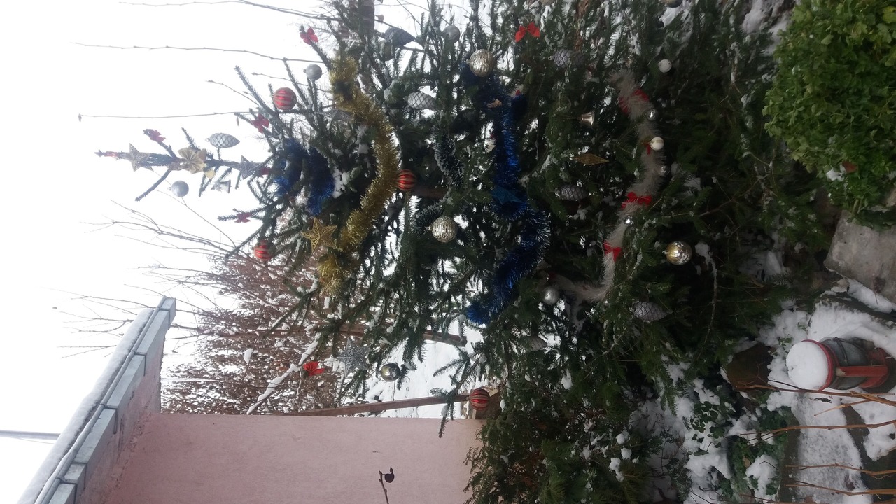 Photo of Outdoor in Dolna Studena