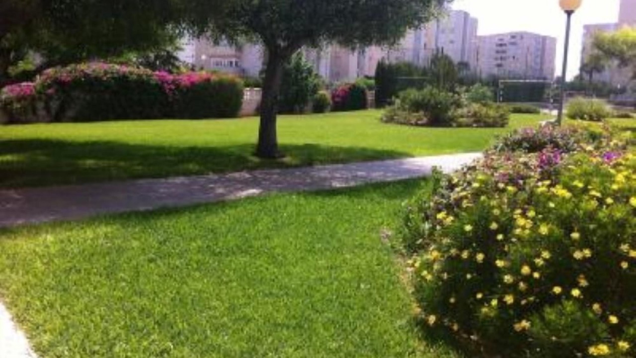 Photo of Outdoor in Urbanova