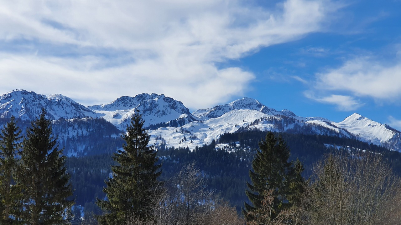 Photo of Others in Fieberbrunn