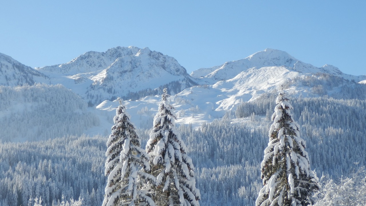 Photo of Others in Fieberbrunn