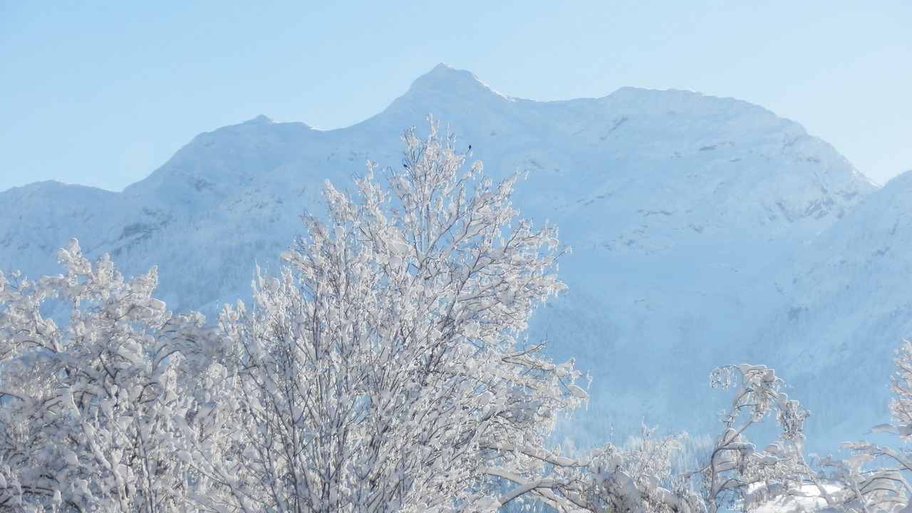 Photo of Others in Fieberbrunn