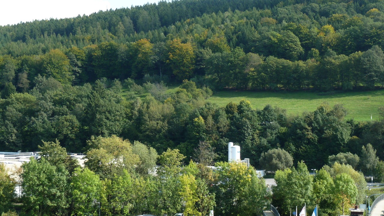 Photo of Others in Bad Brueckenau