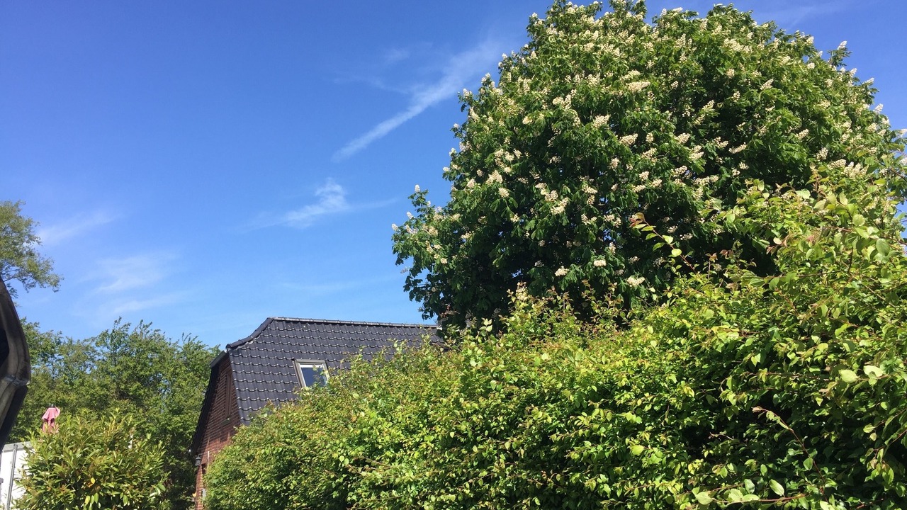 Photo of Outdoor in Fehmarnsund