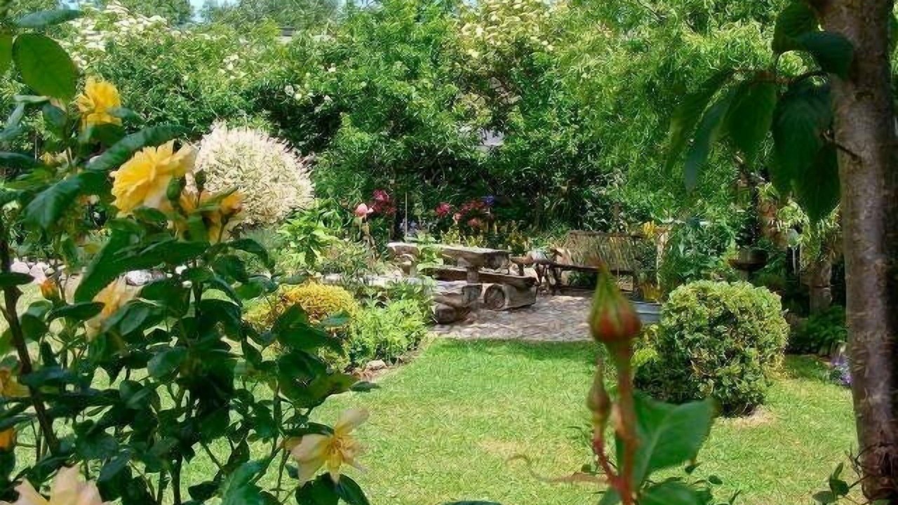 Photo of Outdoor in Petersdorf