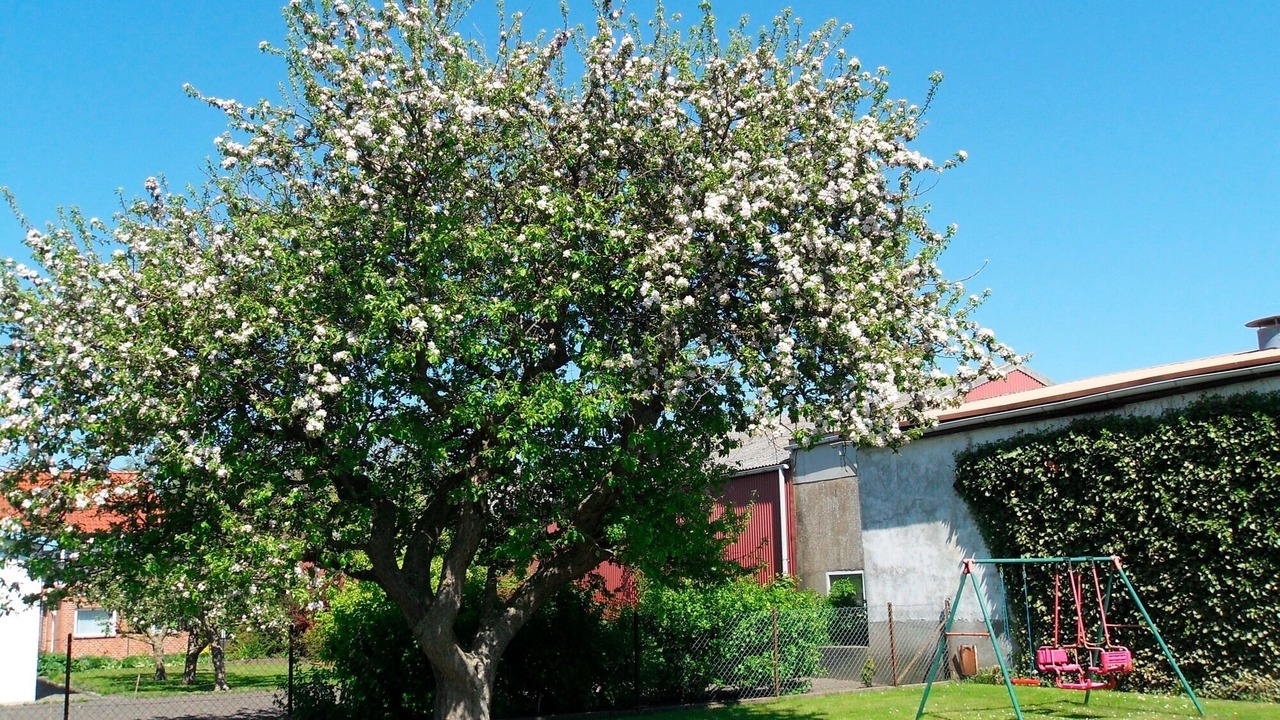 Photo of Outdoor in Todendorf
