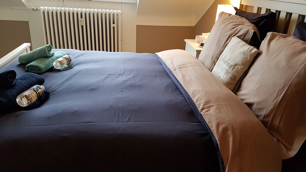 Photo of Bedroom in South Bonnevoie