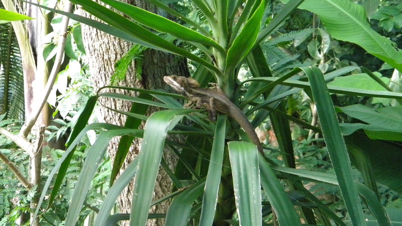 Photo of Others in Santa Elena