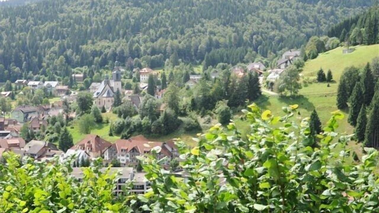 Photo of Outdoor in Todtmoos