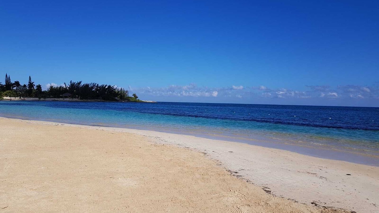 Photo of Others in Mammee Bay Estates