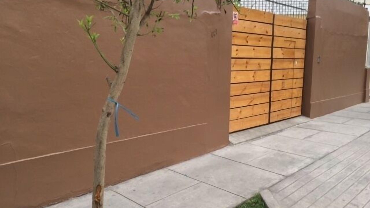 Photo of Outdoor in San Isidro