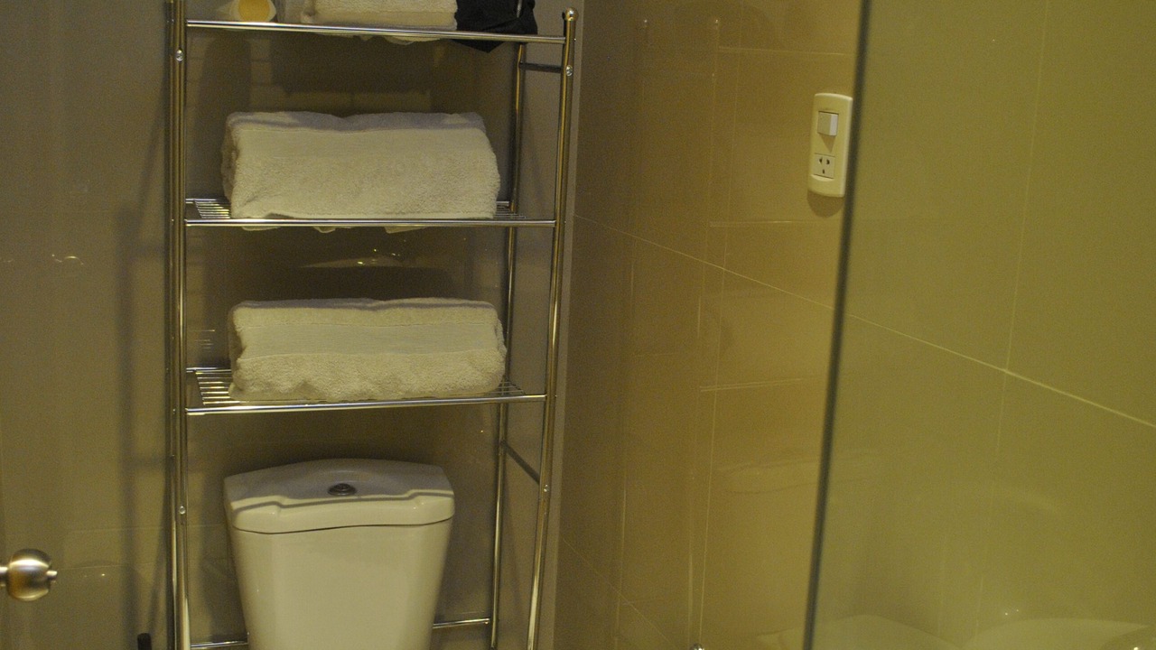 Photo of Bathroom in San Isidro