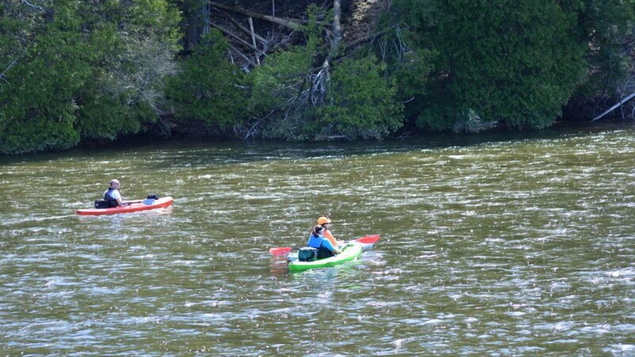 Photo of Others in Newaygo
