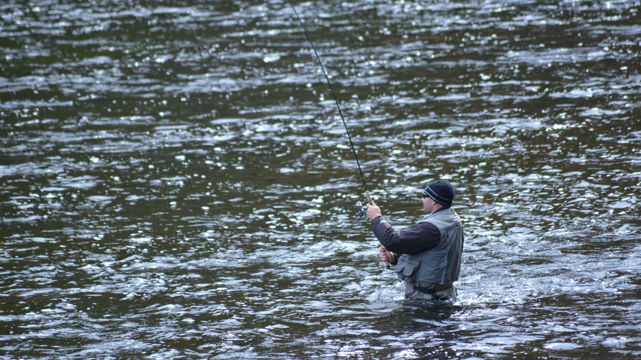 Photo of Others in Newaygo