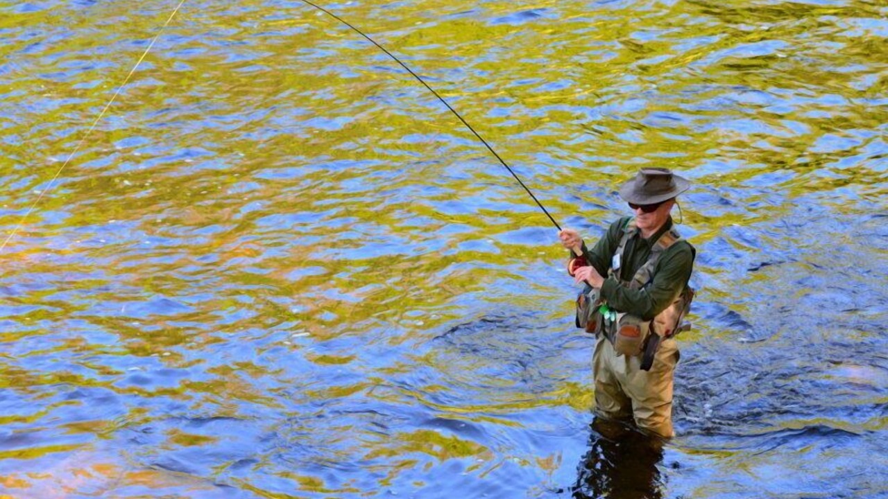 Photo of Others in Newaygo