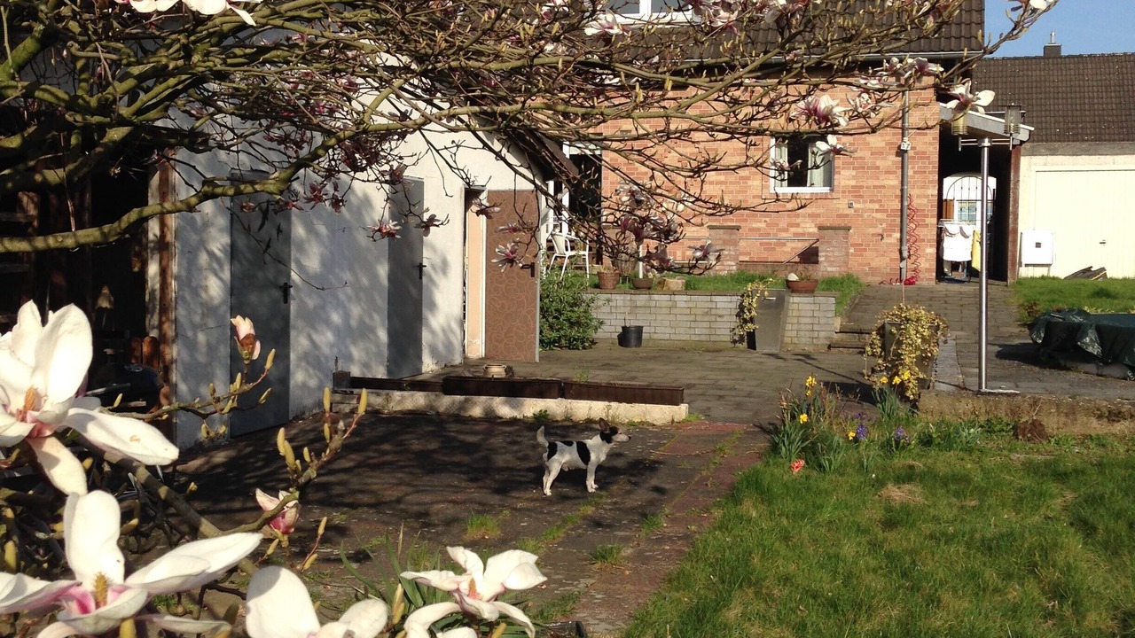 Photo of Outdoor in Ehrenfeld