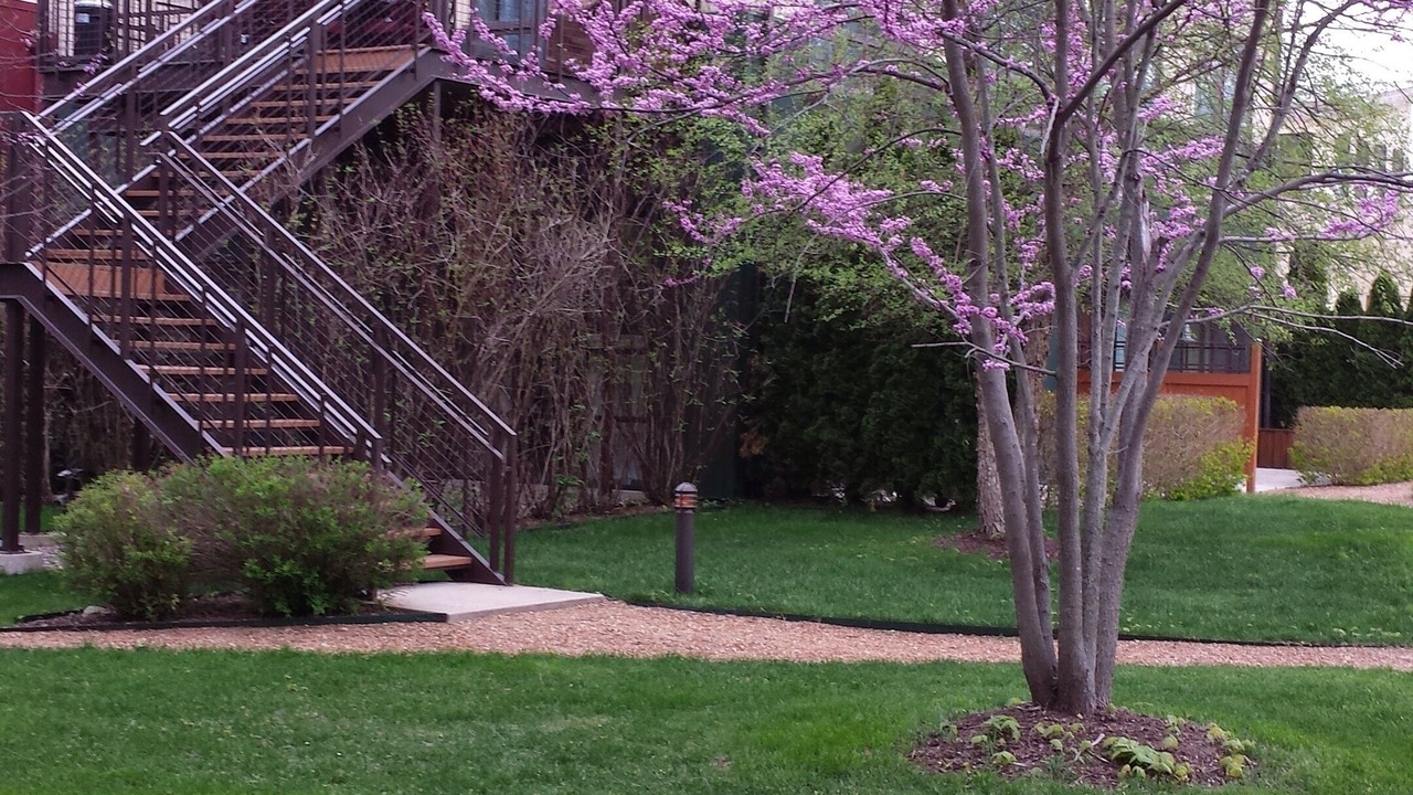 Photo of Others in Shorewood-Tower Hills-Harbert
