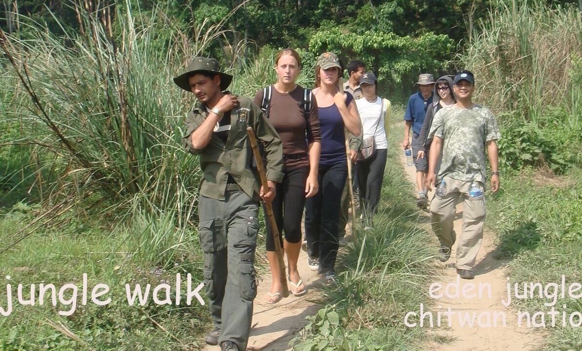 Photo of Outdoor in Sauraha