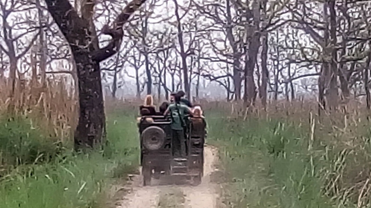 Photo of Outdoor in Sauraha