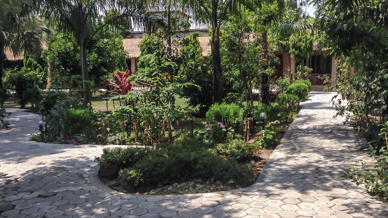 Photo of Outdoor in Sauraha