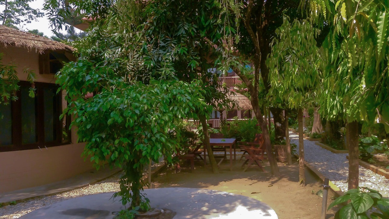 Photo of Outdoor in Sauraha